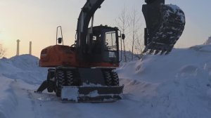 Сотрудники Комитета по благоустройству. Профессия наизнанку