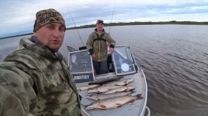 Нашли щук и наловили на спиннинг, джиговые приманки. Рыбалка на реке Печора.
