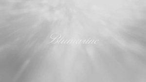 Показ женской коллекции Blumarine весна-лето 2024