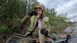 🔺️🎣ЗАВЕС🎣🔺️fishing#туризм#природа#ловля#рыбалка#щука#ловлящуки#ночевка#Чулым#река#спиннинг