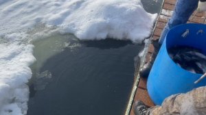 copy_B73B930C-8460-4DDD-9F88-BA5F14BB38A3