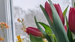 счастливы в субботу в деревню и радость и счастье