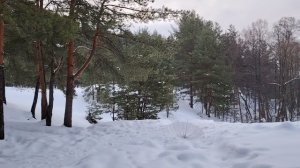 Новое поколение в ожидании трудных времен? И что с этим делать зумерам и нам всем?