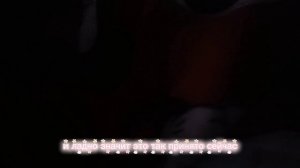 мы играем в прятки