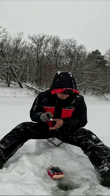 ОКУНЬ В ГЛУХОЗИМЬЕ НА БЛЕСНУ/ПОДОБРАЛ ПРИМАНКУ И НАЛОВИЛ ОКУНЕЙ/БЛЕСНА-СЕГОЛЕТКА 40/РЫБАЛКА НА ВОЛГЕ