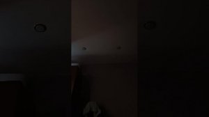 Трумбаурна 167