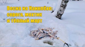 Весна пришла, и рыба рада. Расширенная версия. Зимняя рыбалка 2025.