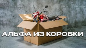 Сборка мопеда Motoland Альфа RF 11 | Некоторые тонкости при сборки этой модели #2