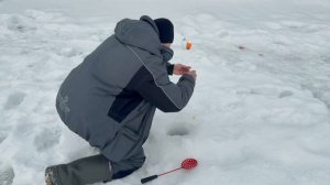 Видеообзор с водоема