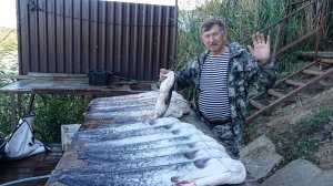 Удивительная рыбалка на Волжских раскатах. Выбираем снасти и ловим сома. Часть 5.