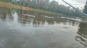 "последний" заброс