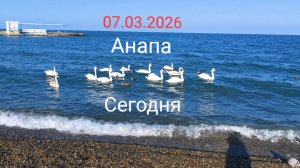 Анапа Сегодня 07.03.2026