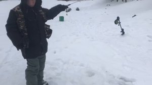 поимка форели