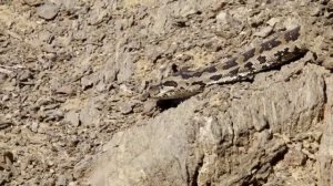 В песках. Рок баллада