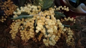 С Наступающим праздником 8 марта!