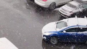 Зима вернулась | Находка | 6 марта 2026