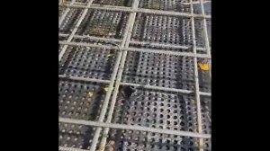 Фундамент 5-го дома