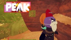 PEAK (пик-возврат долгов)