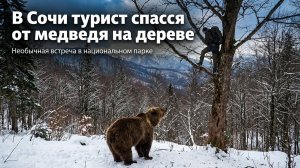 Чудо в Сочи: турист остался жив после встречи с медведем