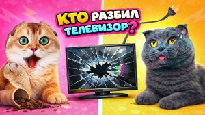 КТО из ВАС РАЗБИЛ ДОРОГОЙ ТЕЛЕВИЗОР?  КОШЕЧКА БАТТЕРС или КОТИК ПЕРСИК | КТО из ВАС Челлендж