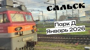 Сальск Строительство Парка Д на Январь 2026г