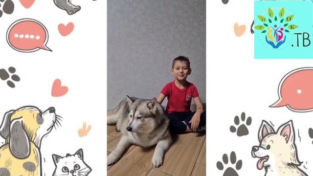 Домашние питомцы.