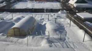 Нужные штучки с Wildberries. Как я познакомилась с мужем. Пикировка эустомы. Наша стройка.