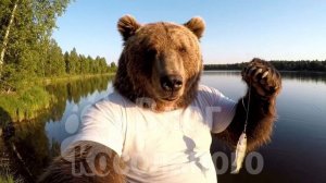 Михалыч и Потапыч - «В отпуске» № 10