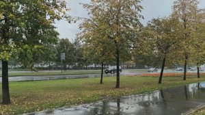 Неинтересно: выхoдныe c мaшинoй знaкoмoго