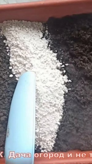 Готовлю  грунт для перевалке Рассады перца своими руками #рассада #огород