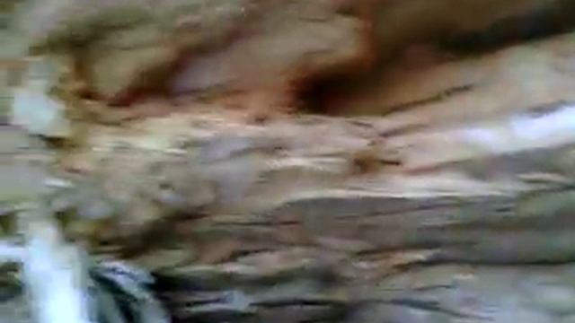 020 2015.12.27_12.07.05