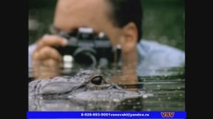 С днём рождения Вова!