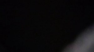 Ночью звёзды вдаль бегут по синим рекам