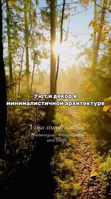 Декор и уют в минималистичной архитектуре.