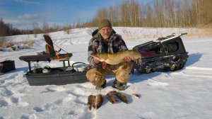 Весна продолжается!