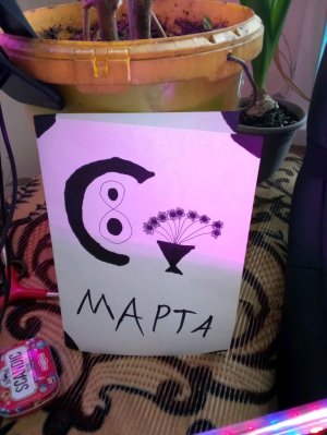 отвечай на вопросы