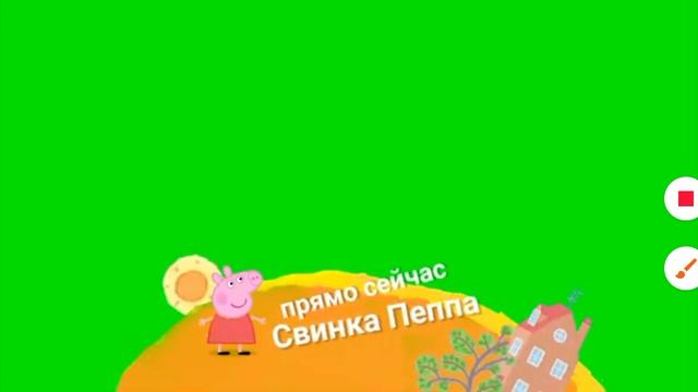 Плашка Свинка Пеппа Карусель (01.03.2015 31.05.2023)