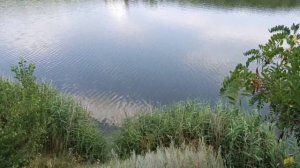 Сплав по реке Северский Донец.