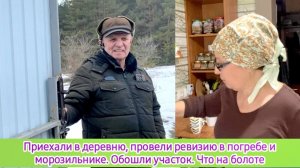 Приехали в деревню. Провели ревизию в погребе и морозильнике, обошли участок. Что на болоте