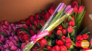 "Тюльпаны" - пароль этой весны! Доброе утро. Суббота. Фрагмент выпуска от 07.03.2026