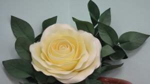 Поздравляем Зою и Олю с днём рождения