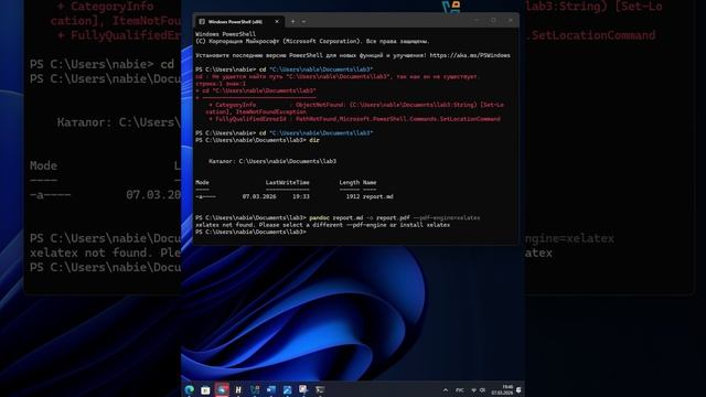 скринкаст выполнение лабараторной 3