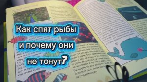 Как спят рыбы?