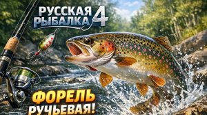 Точка на Форель Ручьевую! [Река "Белая" RF-4]