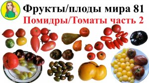 Фрукты - плоды мира 81 – Помидоры или Томаты Часть 2 Сыроедение Фрукторианство