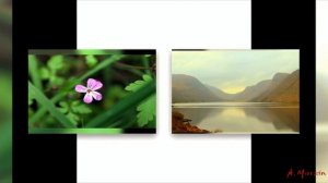 Тени Атлантиды - Танец с ветром