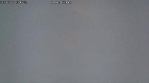 LIVE: channel43489494