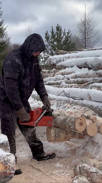7 марта  2026 ,заготовка дров