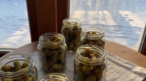 ОГУРЦЫ МАРИНОВАННЫЕ