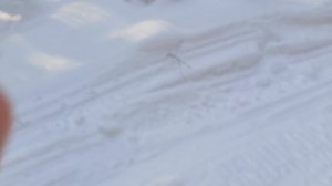 Реборны ПОЛЯ И КОЛЯ . Прогулка с реборном Колей в парке. ЧАСТЬ 2.